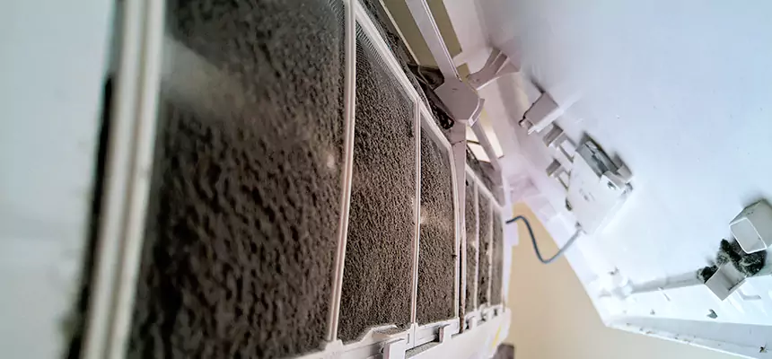 Preventive Air Duct Bacteria Removal in Truckee