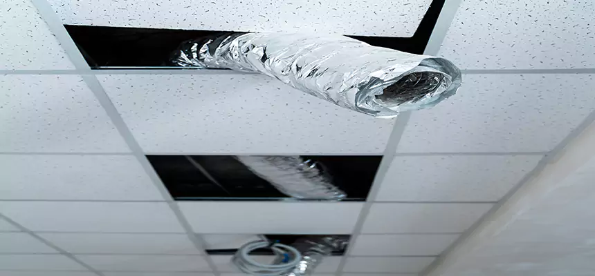 Our Air Duct Pet Hair Removal Services in Truckee, CA