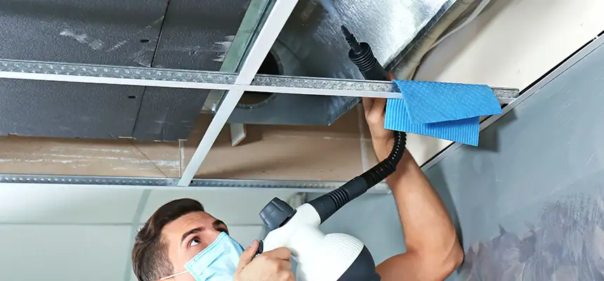 Our Air Duct Rodent Removal Services in Truckee, CA