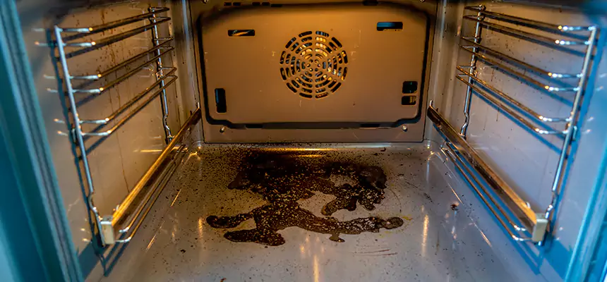 Our Dryer Vent Mold Cleaning Services in Truckee, CA