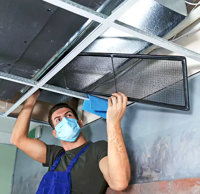 Why Homeowners Businesses Trust Us in Truckee, CA