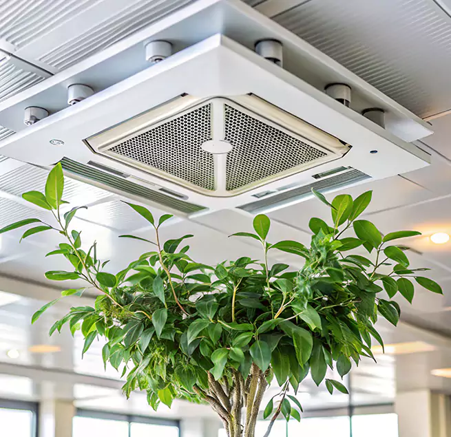 Why Homeowners & Businesses Trust Us in Truckee, CA?